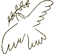 左向きに飛んでいる鳥の動画