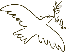 右向きに飛んでいる鳥の動画